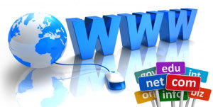 domain-name-registration-portfolio